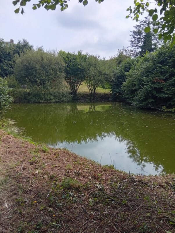 Aire camping-car  Saint-Connan (22480) - Photo 1